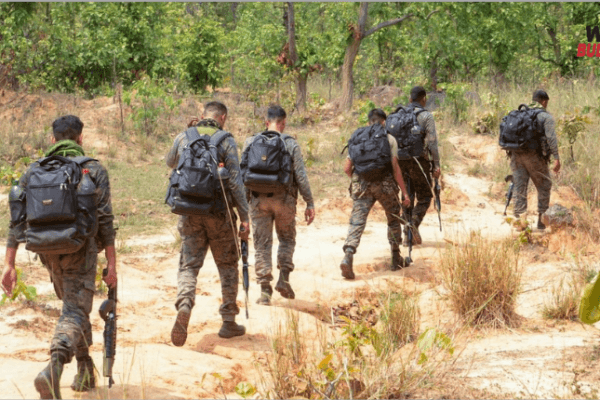 webbulletin 2026 02 05T125143.226