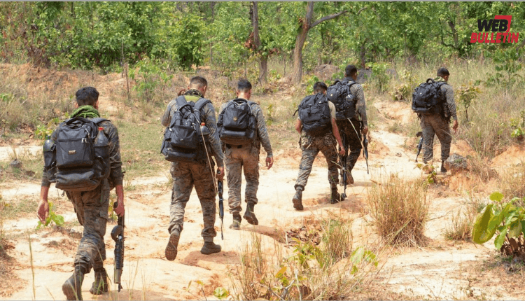 webbulletin 2026 02 05T125143.226