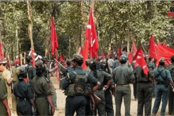 webbulletin 2026 02 07T181615.945