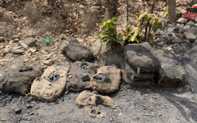 latest news 2026 04 18T231023.666