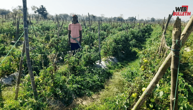 latest news 2026 04 25T175923.701